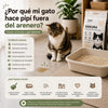 ¿Por qué mi gato hace pipí fuera del arenero? Causas comunes y qué observar