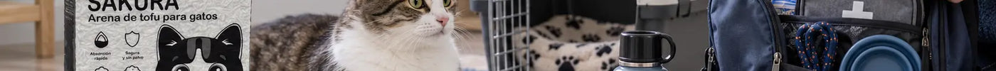 Simulacro Nacional 2026 y gatos: cómo preparar a tu michi ante un sismo en México