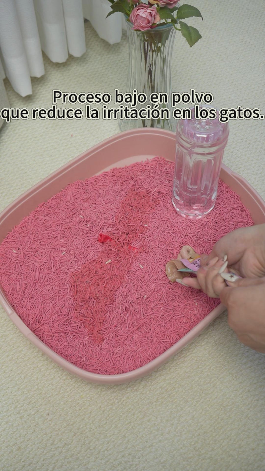 Gato junto a un arenero con arena de tofu