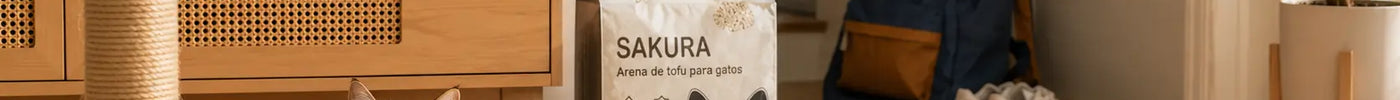 Gato descansando en una sala organizada durante el regreso a clases junto a una bolsa de arena de tofu SAKURA PETTO.
