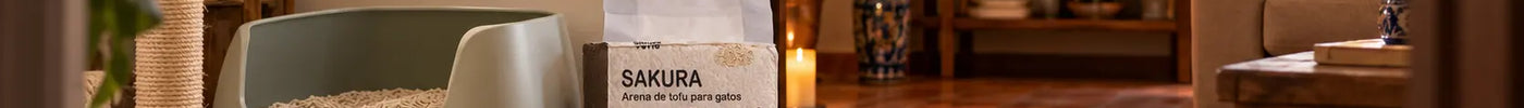Hogar mexicano con una ofrenda de Día de Muertos para mascota separada del espacio cotidiano y arenero de un gato.